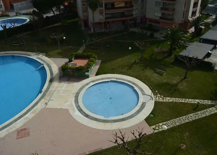 Cordoba Premium